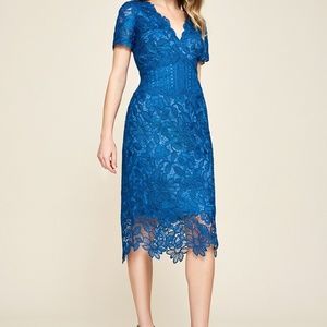 Tadashi Shoji Carter Floral Lace Dress Blue